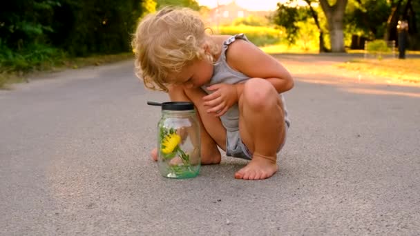 Crianças Olham Através Uma Lupa Natureza Foco Seletivo Miúdo — Vídeo de Stock