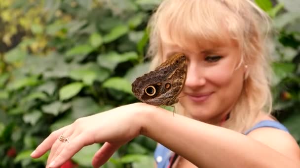 Papillon Tropical Sous Main Focalisation Sélective Nature — Video