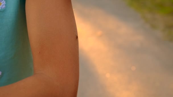 蚊子坐在你的手上 有选择的重点 — 图库视频影像