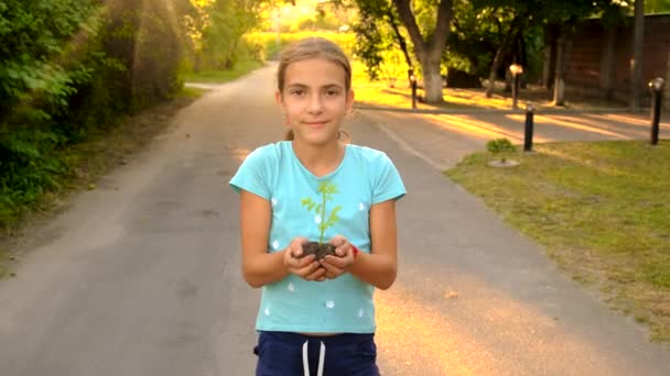 子供は手に芽を持っています 選択的フォーカス — ストック動画