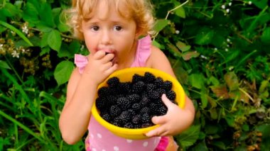 Bir çocuk bahçede böğürtlen yiyor. Seçici odaklanma. çocuk.