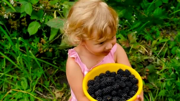 Ett Barn Äter Björnbär Trädgården Selektivt Fokus Unge — Stockvideo