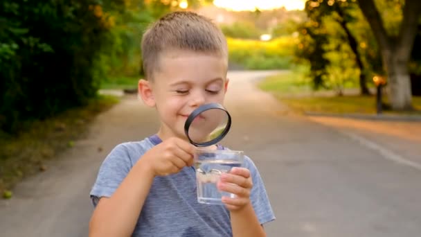 Uma Criança Olha Para Copo Água Através Uma Lupa Foco — Vídeo de Stock