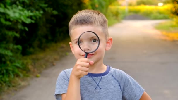 Child Looks Magnifying Glass Selective Focus Kid — Stock Video