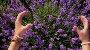 Lavanta tarlasında bir kadın. Seçici odaklanma. Doğa.