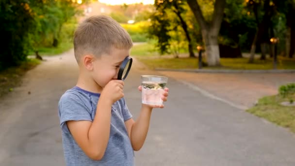 Een Kind Kijkt Door Een Vergrootglas Naar Een Glas Water — Stockvideo