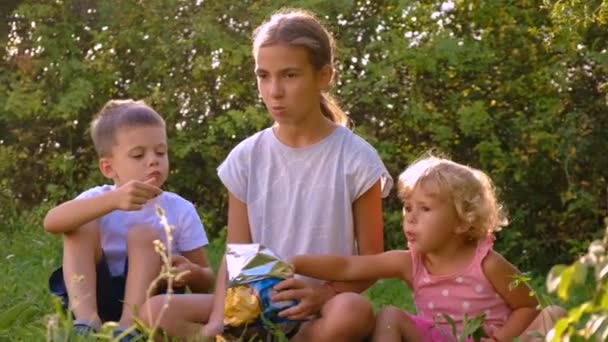 Crianças Comem Batatas Fritas Parque Foco Seletivo Miúdo — Vídeo de Stock