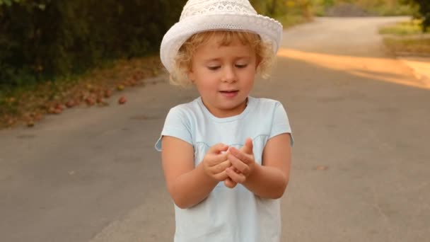 Hält Das Kind Einen Schmetterling Den Händen Selektiver Fokus Kind — Stockvideo