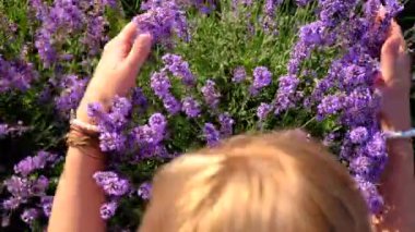Lavanta tarlasında bir kadın. Seçici odaklanma. Doğa.