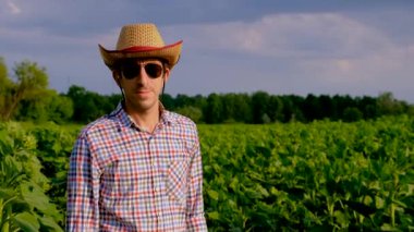 Ayçiçeği tarlasında çiftçi. Seçici odaklanma. Doğa.