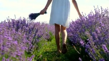 Lavanta tarlasında bir çocuk. Seçici odaklanma. Doğa.