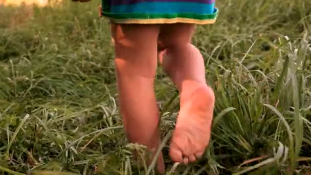 Ένα Παιδί Τρέχει Στο Γρασίδι Επιλεκτική Εστίαση Φύση — Αρχείο Βίντεο