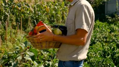Bahçedeki sebze hasadı. Seçici odaklanma. Yiyecek..