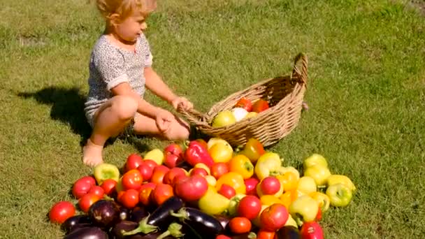 Een Kind Verzamelt Groenten Een Mand Selectieve Focus Levensmiddelen — Stockvideo