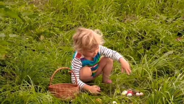 Ребенок Собирает Пасхальные Яйца Поле Выборочный Фокус Ребенок — стоковое видео