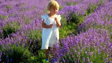 Lavanta tarlasında bir çocuk. Seçici odaklanma. Doğa.