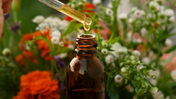 Essential Oil Flowers Herbs Bottle Selective Focus Nature — 图库视频影像