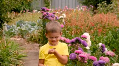 Çocuk bahçede bir kelebekle oynuyor. Seçici odaklanma. çocuk.