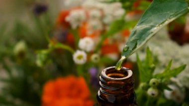 Şişe içinde bitkilerin ve çiçeklerin temel yağı. Seçici odaklanma. Doğa.