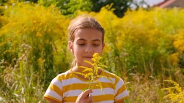 Ambrosia tarlasında bir çocuk. Seçici odaklanma. Doğa.