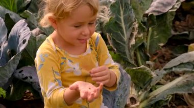 Bahçesinde uğur böceği olan çocuk. Seçici odaklanma. çocuk.