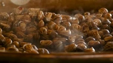 Kızartma tavasında bir sürü salyangoz pişir. Seçici odaklanma. yiyecek.