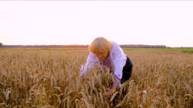 Buğday tarlasında nakışlı gömlek giyen bir kadın. Seçici odaklanma. Doğa.