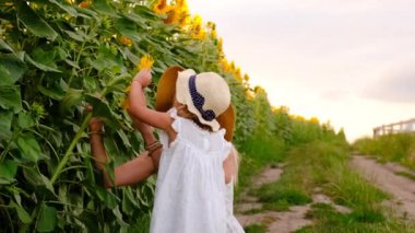 Ayçiçeği tarlasında bir çocuk. Seçici odaklanma. çocuk.