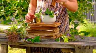 Bahçede şifalı otları olan bir kadın. Seçici odaklanma. Doğa.