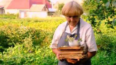 Bahçede şifalı otları olan bir kadın. Seçici odaklanma. Doğa.