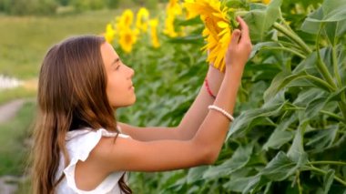 Ayçiçeği tarlasında bir çocuk. Seçici odaklanma. çocuk.