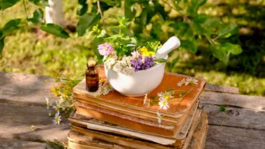 Bahçede şifalı otları olan bir kadın. Seçici odaklanma. Doğa.