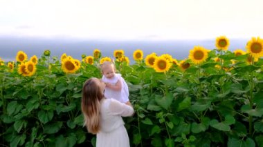 Anne ve bebek ayçiçeği tarlasında. Seçici odaklanma. Doğa.