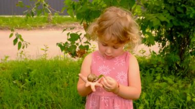 Bir çocuk bahçede bir salyangozla oynuyor. Seçici odaklanma. Doğa.