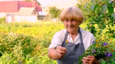 Bahçede şifalı otları olan bir kadın. Seçici odaklanma. Doğa.