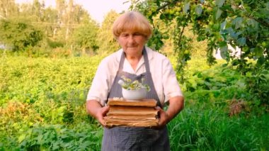 Bahçede şifalı otları olan bir kadın. Seçici odaklanma. Doğa.