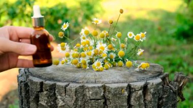 Şişe içinde papatya yağı. Seçici odaklanma. Doğa.