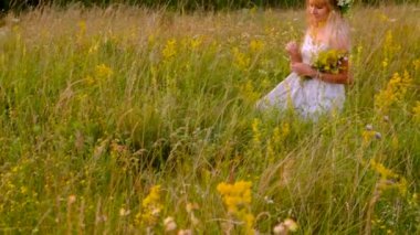 Çayırdaki bir kadın şifalı yabani çiçekler topluyor. Seçici odaklanma. Doğa.