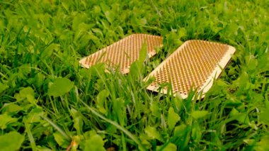 Sadhu doğada sörf yapıyor. Seçici odaklanma. Çimen.