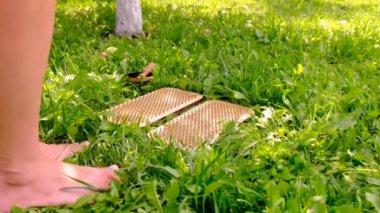 Sadhu doğada sörf yapıyor. Seçici odaklanma. Çimen.