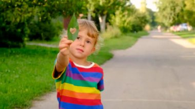 Bir bitkinin yaprağını tutan çocuk. Seçici odaklanma. çocuk.