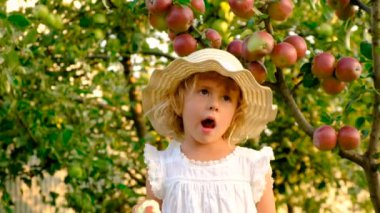 Bahçedeki elmalı çocuk. Seçici odaklanma. Doğa.