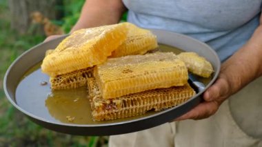 Yaşlı bir kadın tarakta bal tutuyor. Seçici odaklanma. Doğa.