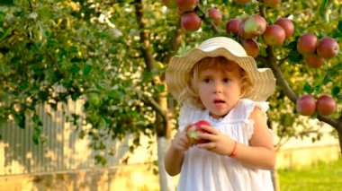 Bahçedeki elmalı çocuk. Seçici odaklanma. Doğa.