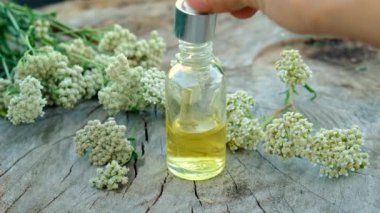 Kereste özü şişede. Seçici odaklanma. Doğa.