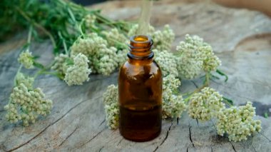 Kereste özü şişede. Seçici odaklanma. Doğa.