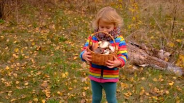 Ormanda bir sepet mantarlı çocuk. Seçici odaklanma. Doğa.