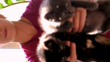 Yavru kediciklerle oynayan çocuk. Seçici odaklanma. Çocuk.