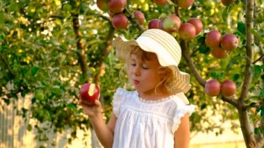 Bahçedeki elmalı çocuk. Seçici odaklanma. Doğa.