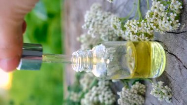 Kereste özü şişede. Seçici odaklanma. Doğa.